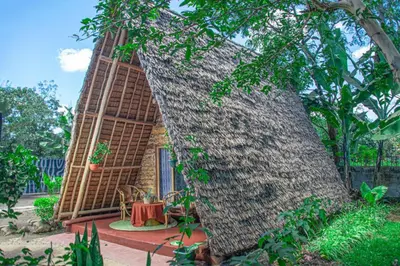Gallery image of Charming Eco-Homestay near Kilimanjaro International Airport in Arusha