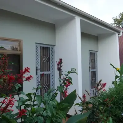 New Dream House