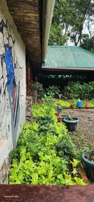 a garden with plants and a painting on the side of a building at Kizumba House in Arusha