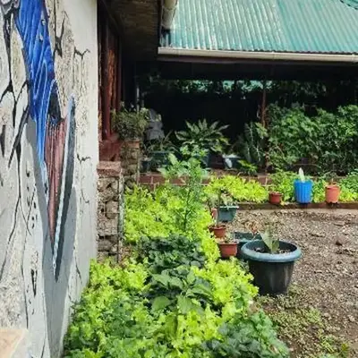 Kizumba House