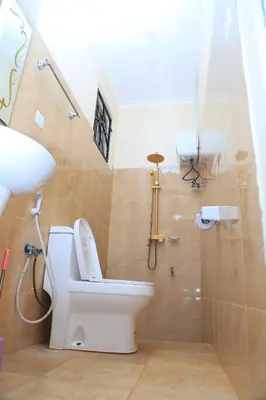 a bathroom with a toilet and a sink and a shower at Johnsons Villas in Zame
