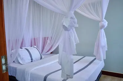 a bedroom with a canopy bed with white curtains at Elanacha Hotel in Arusha
