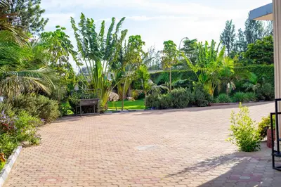 a courtyard with palm trees and a bench at Elanacha Hotel in Arusha