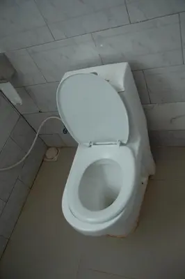 a bathroom with a white toilet in a room at Randa Cottages Moshi in Kirua
