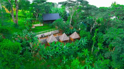 an overhead view of a garden with trees and bushes at Materuni Homes in Moshi