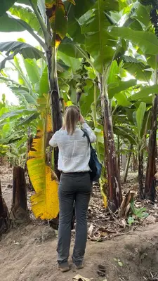 Gallery image of Ava garden backpackers in Mto wa Mbu