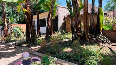 Gallery image of Ava garden backpackers in Mto wa Mbu