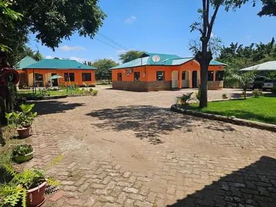 an orange building with a tree in front of it at B-MORE COMFORT STAY in Boma la Ngombe