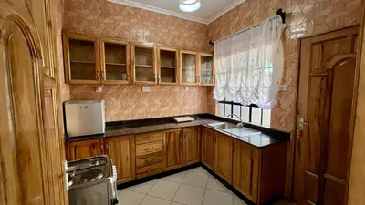 a small kitchen with wooden cabinets and a sink at Medan Apartments in Arusha