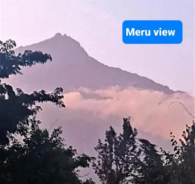 a mountain in the distance with trees in the foreground at Holiday cottage by the river, Arusha in Arusha