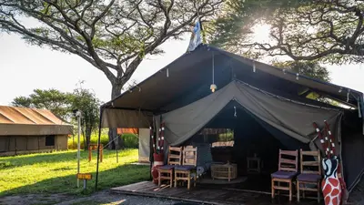 a black tent with chairs and a tree at Africa Safari South Serengeti Ndutu Ngorongoro in Sinoni