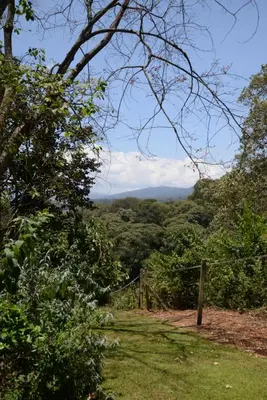 a view of the mountains from a field with trees at The Manor at Ngorongoro in Karatu