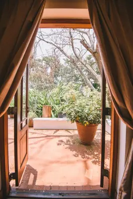 an open door to a patio with a potted plant at The Manor at Ngorongoro in Karatu