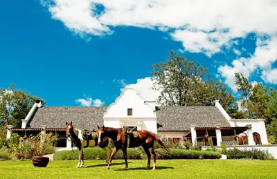 a horse standing in the grass in front of a house at The Manor at Ngorongoro in Karatu