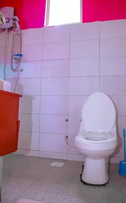 a bathroom with a white toilet in a room at Arusha Jua Eco Home- on coffee farm in Arusha
