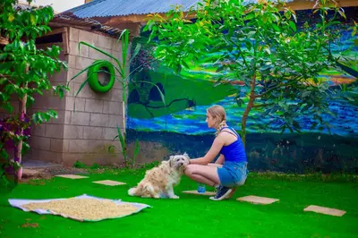 a woman petting a dog in front of a mural at Arusha Jua Eco Home- on coffee farm in Arusha