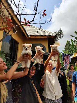a group of people holding up white teddy bears at Arusha Jua Eco Home- on coffee farm in Arusha