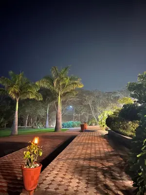a brick walkway with palm trees in a park at night at Forest Hill Hotel in Arusha