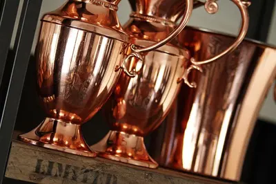 two metal trophies sitting on top of a table at Serengeti Pioneer Camp in Mugumu