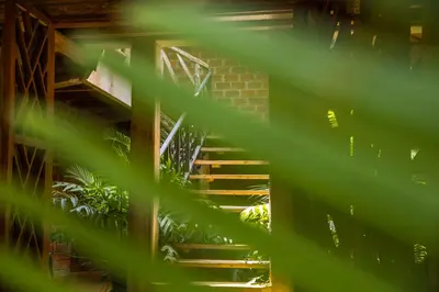 a staircase in a building with green leaves at Christina House in Arusha