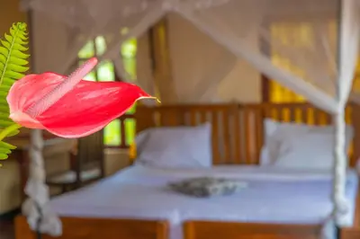 a red flower in a room with a bed at Christina House in Arusha