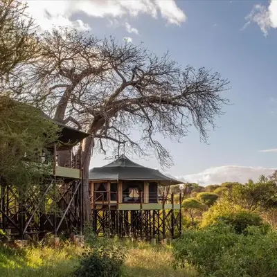 TARANGIRE KURO TREETOP LODGE
