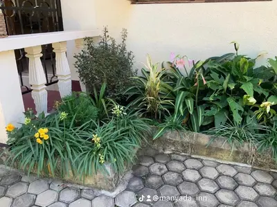 a garden with flowers and plants in front of a building at Manyada Inn in Arusha