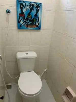 a bathroom with a toilet and a painting on the wall at Manyada Inn in Arusha