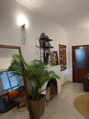 a living room with a fireplace and a plant at Blue elephant villas in Arusha