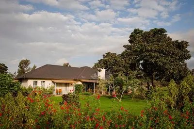a white house with a tree and a field of flowers at Katambuga House in Arusha