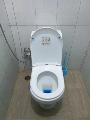 a bathroom with a white toilet in a stall at Kisanga Homestay in Moshi