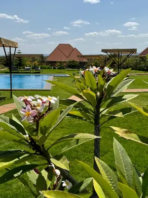 two trees with pink and white flowers in a park at Heart and Soul Lodge in Karatu