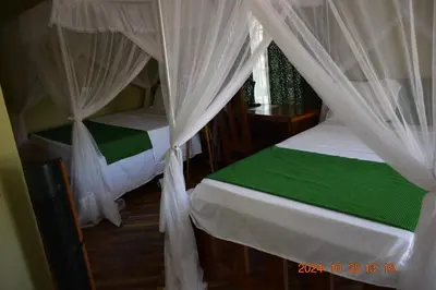 two beds with white drapes in a room at Mwi Village House in Mto wa Mbu