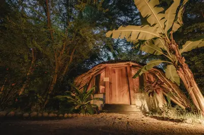 a wooden hut in the middle of a forest at The Jungle Pearl Resort in Mto wa Mbu