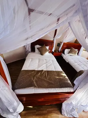 a bedroom with two beds with mosquito nets at Wademac Arusha Inn Hotel in Arusha