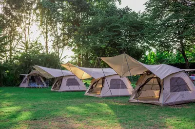 a row of tents in a field with trees at Shose Farmhouse Chalets & Campsite in Moshi
