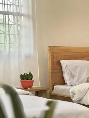 a bedroom with a bed and a potted plant at Goodtimewithfar House in Moshi