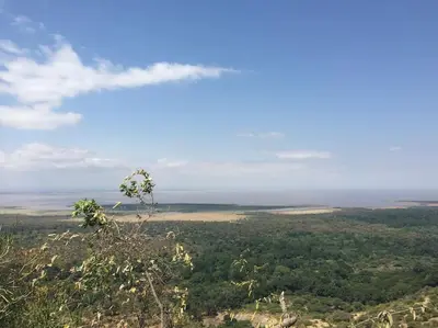 a view from the top of a hill with trees and a field at The Hondo Hondo House, Mto wa Mbu, Tanzania in Mto wa Mbu
