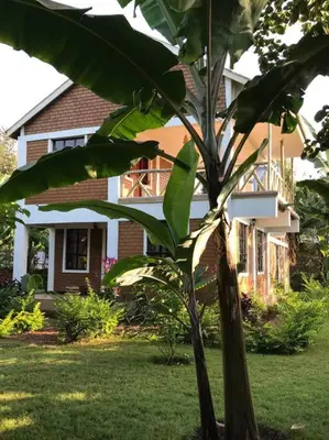 a banana tree in front of a house at The Hondo Hondo House, Mto wa Mbu, Tanzania in Mto wa Mbu
